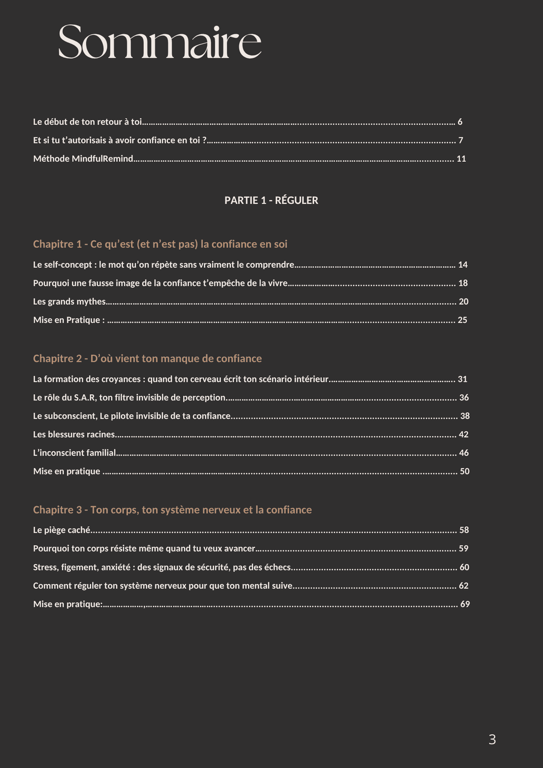 Aperçu de la page 1 de l'e-book Mindful Remind
